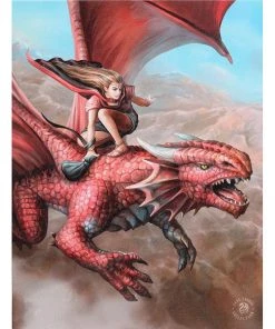 Something Different Anne Stokes Sky Surfer Picture