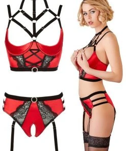 Abierta Fina Bustier With Waist-High Briefs