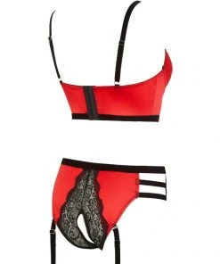 Abierta Fina Bustier With Waist-High Briefs