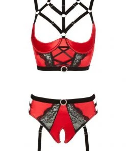 Abierta Fina Bustier With Waist-High Briefs