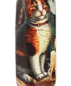 Something Different All Homeware Lisa Parker Adventure Awaits Glasses Case