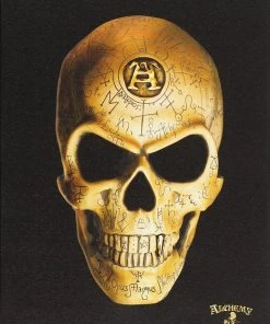 Something Different Sale Alchemy Omega Skull Canvas Picture