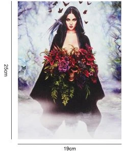 Something Different Alchemy Seasons Of The Witch Picture Sale