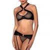 Passion Lingerie Passion Amanda Lingerie Set