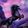 Something Different Sale Anne Stokes Black Unicorn Picture