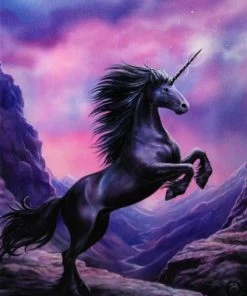 Something Different Sale Anne Stokes Black Unicorn Picture