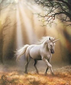 Something Different Anne Stokes Glimpse Unicorn Picture Sale