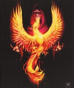 Something Different Anne Stokes Phoenix Rising Picture