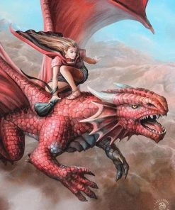 Something Different Anne Stokes Sky Surfer Picture