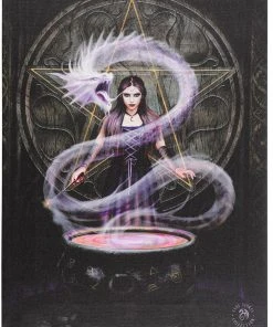 Something Different Anne Stokes The Summoning Canvas Picture Large