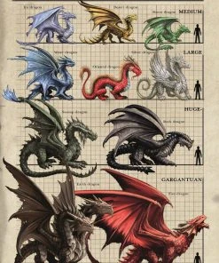 Eastgate Anne Stokes Dragon Size Chart Greetings Card Cards And Wrapping Paper