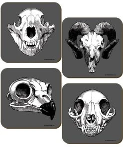 Grind Steampunk Homeware Calvaria Collection Coaster Set