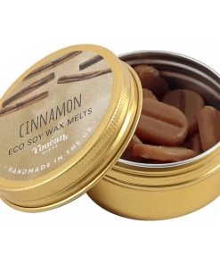 Something Different Toucan Gifts Cinnamon Eco Soy Wax Melts All Homeware