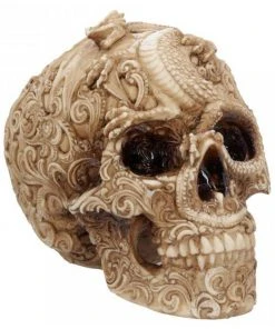 Nemesis Now Cranial Drakos Skull 19.5cm