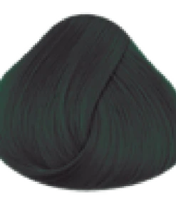 Directions Ebony Hair Dye 8 Directions Ebony Hair Dye