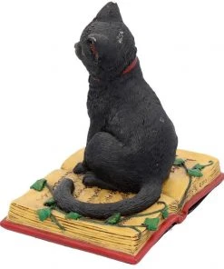 Nemesis Now Eclipse Cat Spell Book Figurine All Homeware