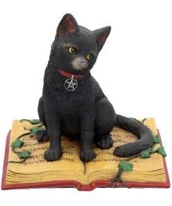 Nemesis Now Eclipse Cat Spell Book Figurine All Homeware