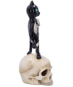 Nemesis Now Feline Fate All Homeware