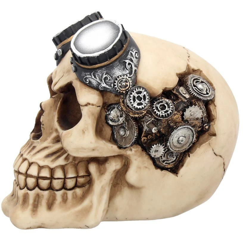 Nemesis Now Goggles Steampunk Skull 5 Nemesis Now Goggles Steampunk Skull