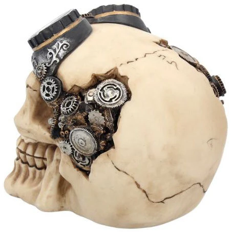 Nemesis Now Goggles Steampunk Skull 6 Nemesis Now Goggles Steampunk Skull