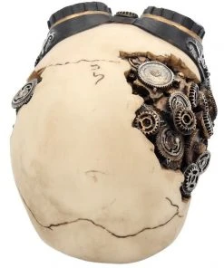 Nemesis Now Goggles Steampunk Skull 12 Nemesis Now Goggles Steampunk Skull