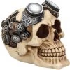 Nemesis Now Goggles Steampunk Skull