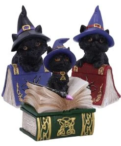 Nemesis Now All Homeware Hocus Pocus And Binx