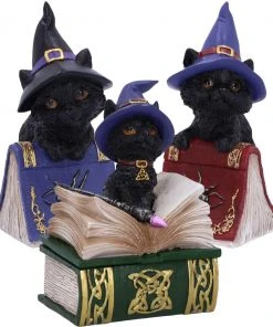 Nemesis Now All Homeware Hocus Pocus And Binx