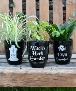 Something Different I Will Survive Gothic Plant Pot