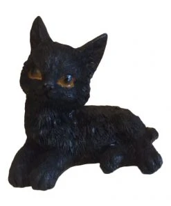 Nemesis Now The Witches Litter - Cat 1 All Homeware