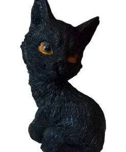 Nemesis Now The Witches Litter - Cat 4