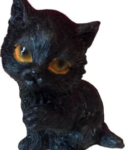 Nemesis Now The Witches Litter - Cat 7 Cats