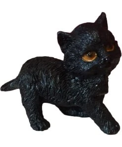 Nemesis Now All Homeware The Witches Litter - Cat 8