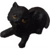 Nemesis Now All Homeware The Witches Litter - Cat 10
