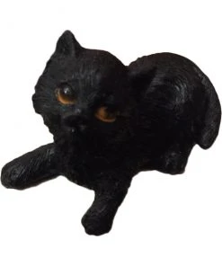 Nemesis Now All Homeware The Witches Litter - Cat 10