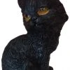 Nemesis Now The Witches Litter - Cat 11 All Homeware