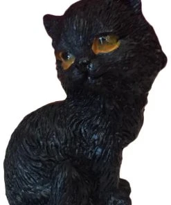 Nemesis Now The Witches Litter - Cat 11 All Homeware