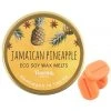 Something Different All Homeware Toucan Gifts Jamaican Pineapple Eco Soy Wax Melts
