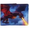 Nemesis Now James Ryman Fire From The Sky Wallet