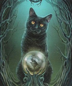 Something Different All Homeware Lisa Parker Rise Of The Witches Picture