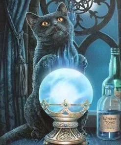 Something Different Lisa Parker The Witches Apprentice Picture Sale