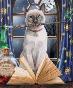 Something Different Sale Lisa Parker Hocus Pocus Picture