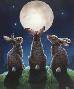 Something Different Lisa Parker Moon Shadows Picture