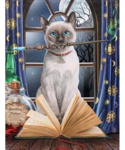 Something Different Sale Lisa Parker Hocus Pocus Picture