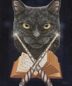 Something Different All Homeware Lisa Parker Magick Maker Picture