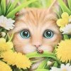 Something Different Linda Jones Summer Cat Picture Sale