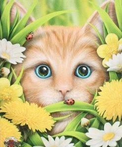 Something Different Linda Jones Summer Cat Picture Sale