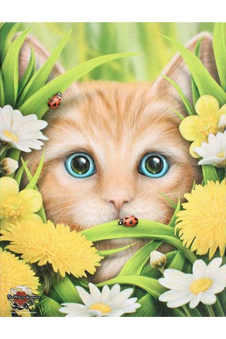 Something Different Linda Jones Summer Cat Picture Sale 3 Something Different Linda Jones Summer Cat Picture Sale