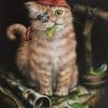 Something Different Linda Jones Pirate Kitten Picture Sale