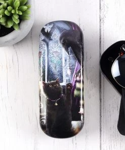 Something Different Linda Jones Familiarity Glasses Case